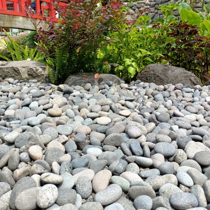 batu coral hitam 1 kg, batu taman hitam, batu aquarium