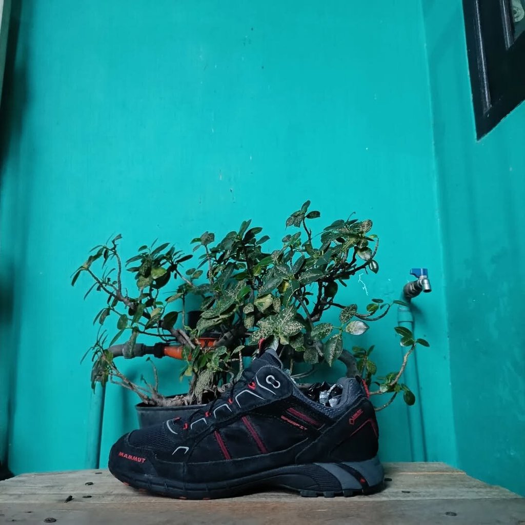 sepatu gunung hiking treking outdoor mammut size 42 fit 42,5