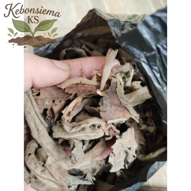 daun kersen kering/teh daun kersen 250gram