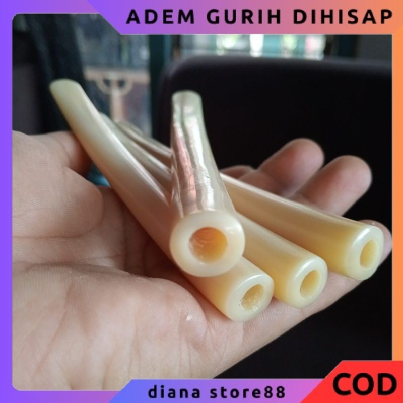 Once Tulang UNTA super adem pulen