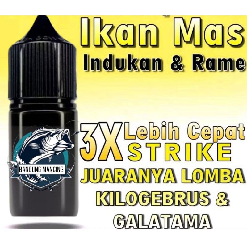 Bandung Mancing - Essen Original Dari Getah Katilayu Asli Bisa Buat Mancing Ikan Mas Ikan Bawal Dan 