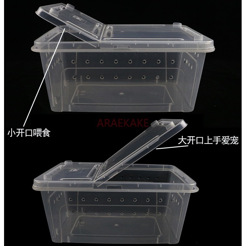 Crab breeng box, pet snail living creature climbing box, hermit crab, spider, scorpion, horned frog,