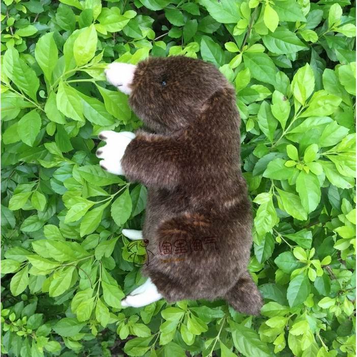 25CM Lifelike Mole Plush Stuffed Toy Doll Kids Gift Cute mole Stuffed Animals Simulation Animal Toys