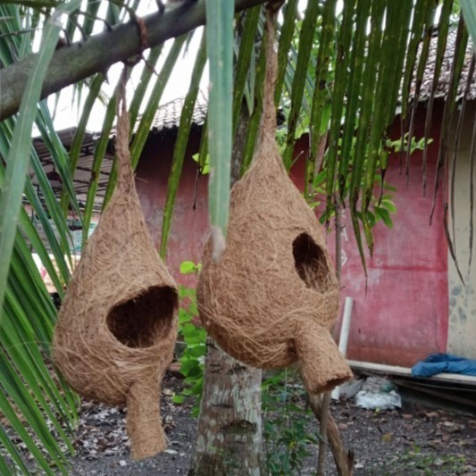 glodok sarang burung sabut kelapa lovebird tupai bajing sugar glider murah alami (Griya Taman Store)