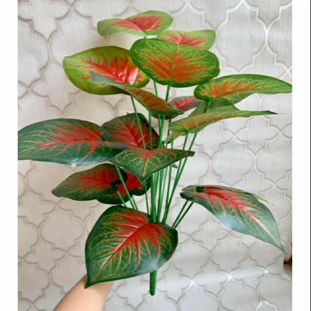 Daun keladi merah arteficial//daun talas merah palsu//daun plastik