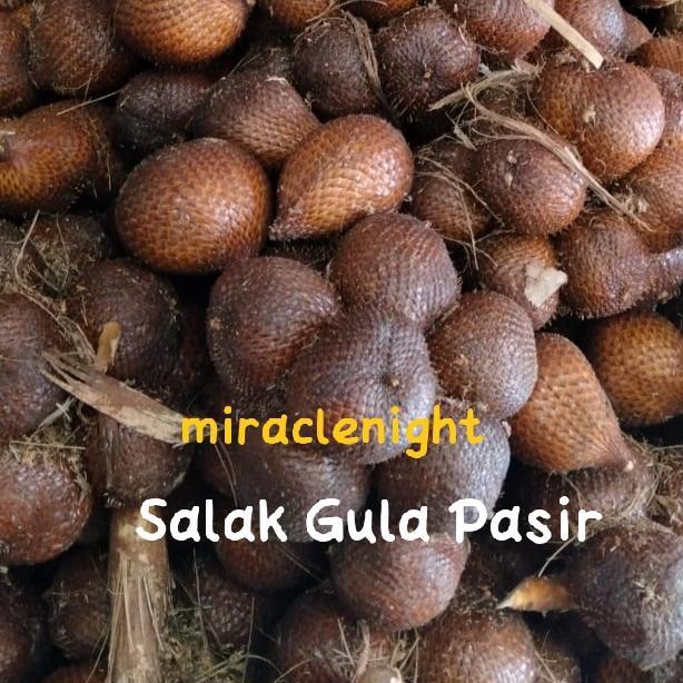 Salak Gula Pasir Asli Karangasem Bali 1 kg