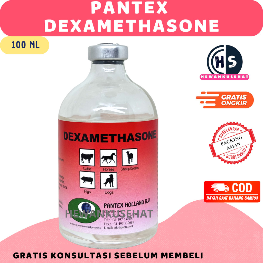 PANTEX DEXAMETHASONE 100ML - Obat Anti Inflamasi Hewan Sapi Kambing -  Holland Pantex