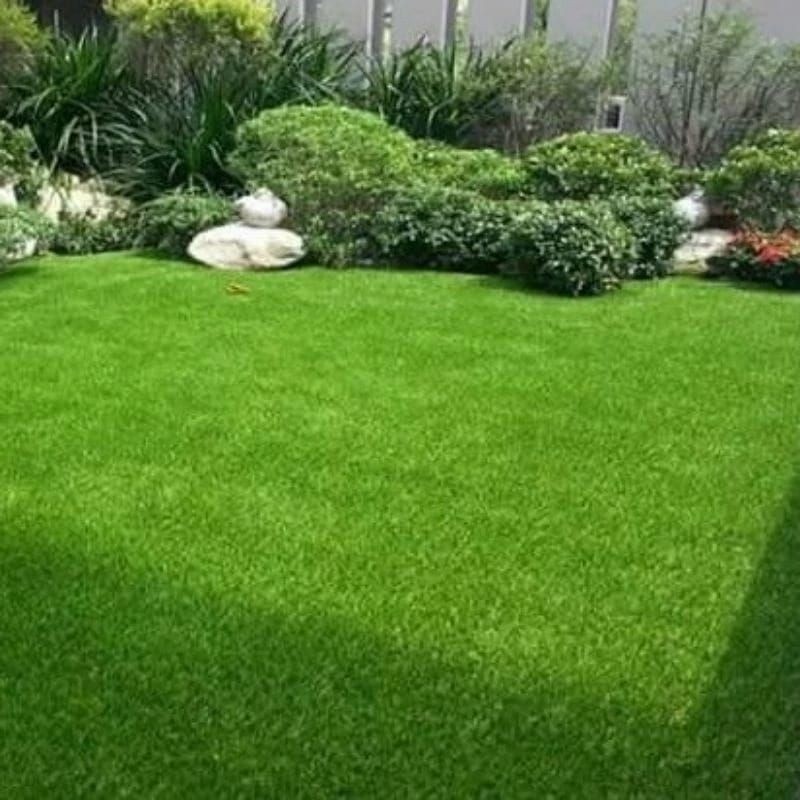 Rumput Jepang Hidup 20x20cm Untuk Kuburan