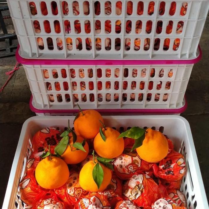 Jeruk Dekopon chun jian 6 kg / kranjang