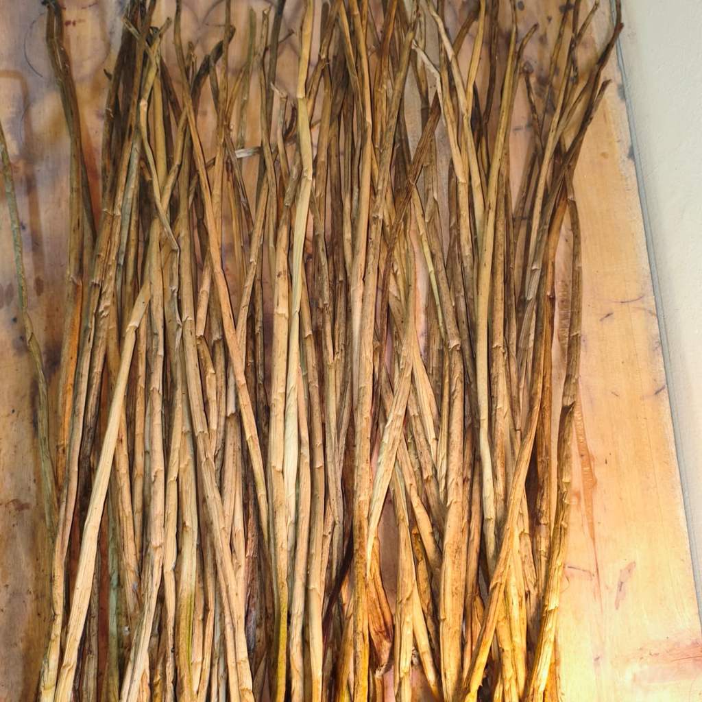 Batang Eceng Gondok Kering – Bahan Kerajinan & Dekorasi Alami