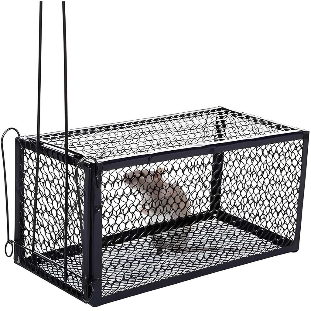 Arsyl Com Jebakan Kandang Perangkap Tikus Besi Ampuh Mouse Trap Perangkap Tikus Besi Besar Jepit