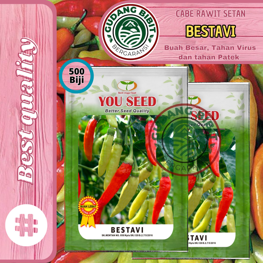 Benih Bibit Cabe Rawit Setan Tipe Halbaru BESTAVI 500 Biji Cap You Seed Tahan Virus