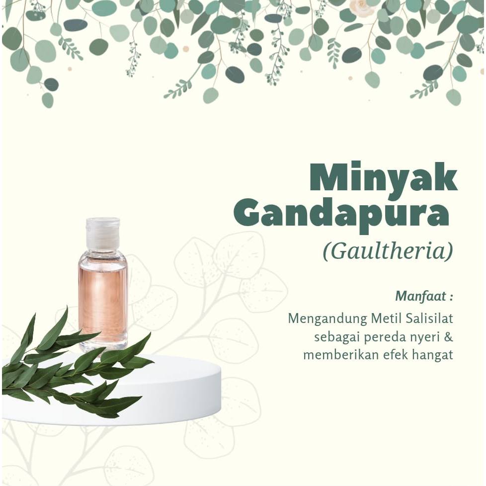 MINYAK GANDAPURA - MINYAK GOSOK - OBAT GOSOK - MINYAK URUT - PEREDA NYERI OTOT & SENDI - PEREDA PEGA