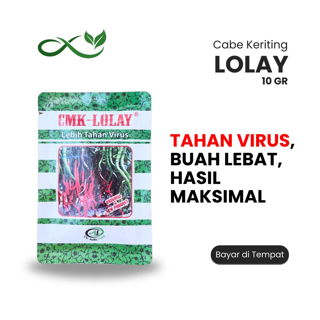 Benih Cabai Keriting LOLAY 10 gr Original – Tahan Virus & Buah Lebat