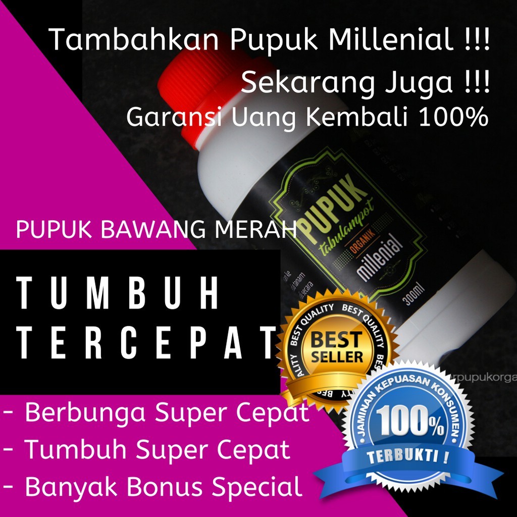 Pupuk Bawang Merah, Pupuk Bawang Merah Pertumbuhan, Pupuk Bawang Merah Yang Bagus, Reaksi Tercepat!!