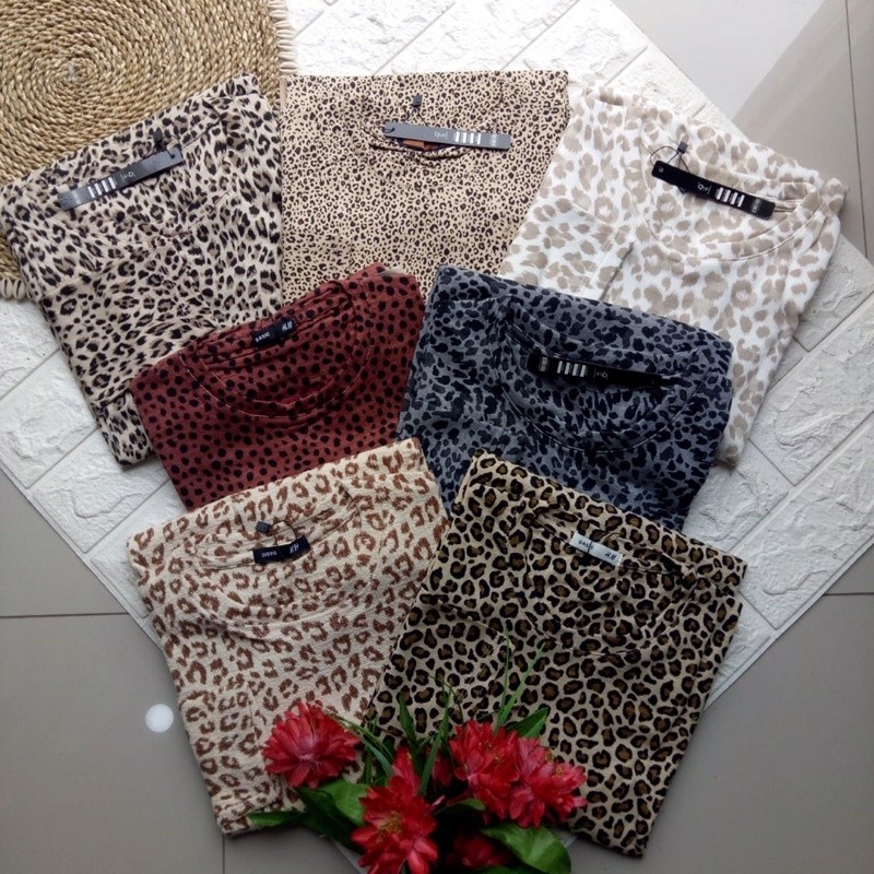 KAOS RIB MOTIF LEOPARD