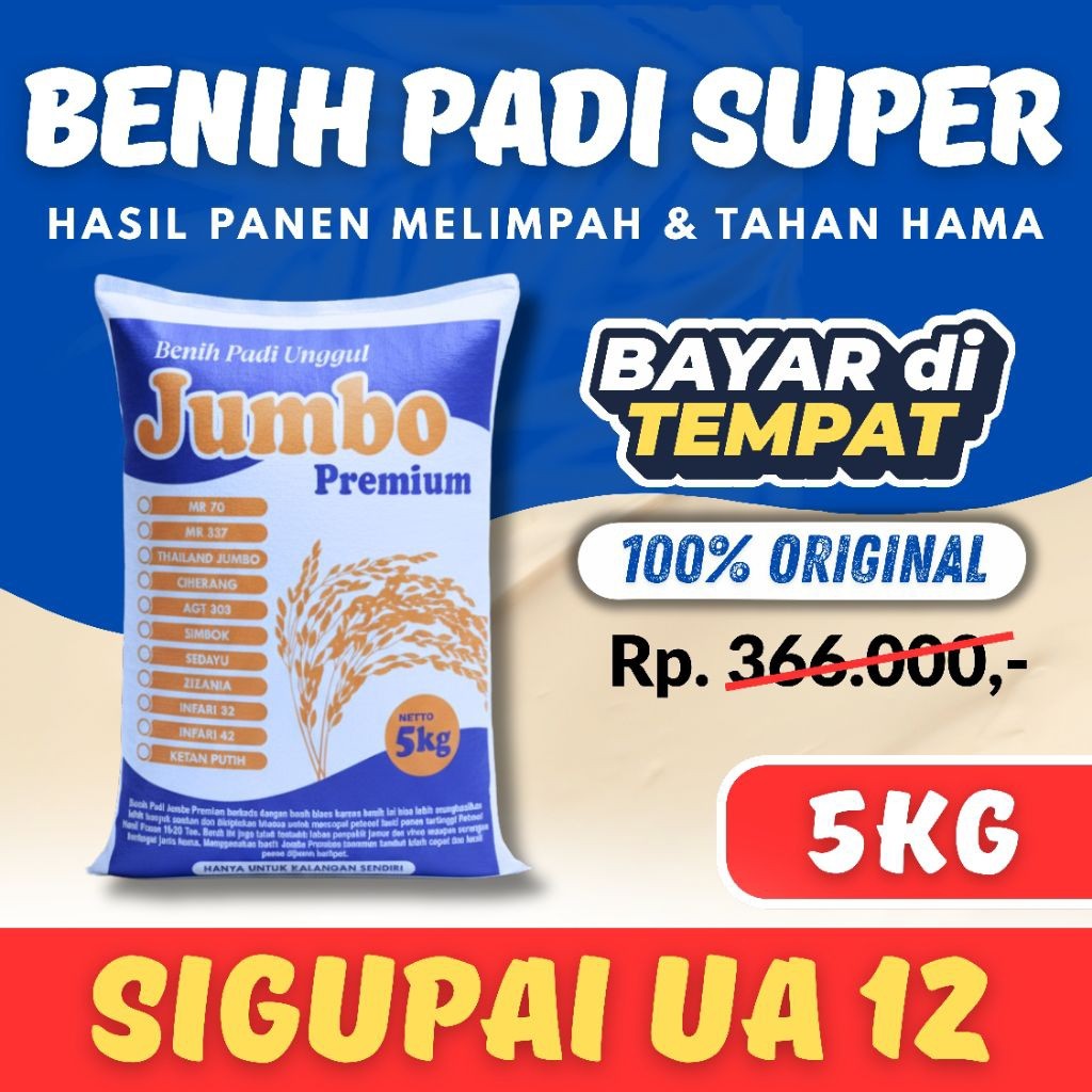 Benih padi Sigupai Ua 12 kemasan 1-5 kg Premium BENIH PADI UNGGGUL SIGUPAI UA 12 KEMASAN 5KG Berkual