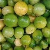 Buah Saprola Markisa Hutan segar 1 kg markisa madu