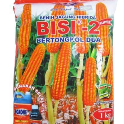 PROMO  Benih Bibit Jagung Hibrida BISI 2 Tongkol Dua Original 1 Kg - Original