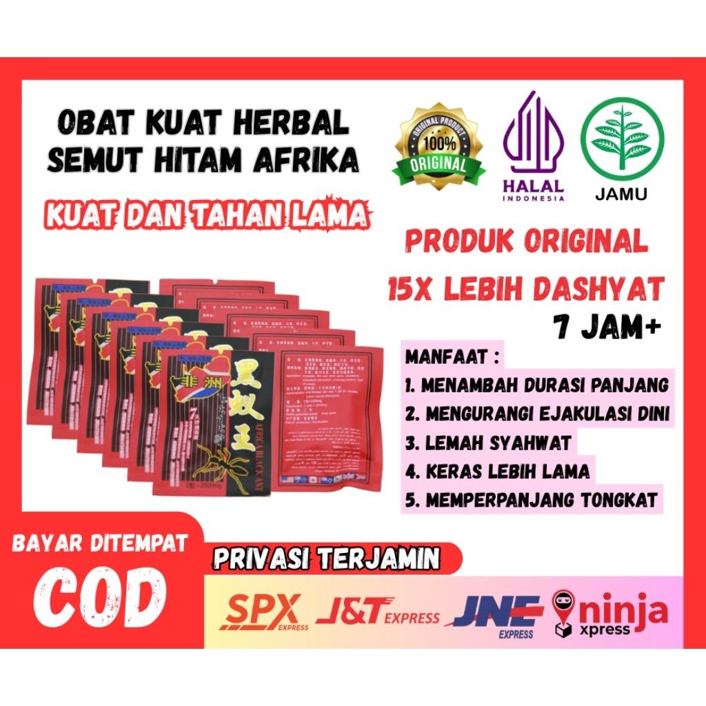 OBATKUAT Herbal Semut Hitam box blokedop afrika3 ORIGINAL