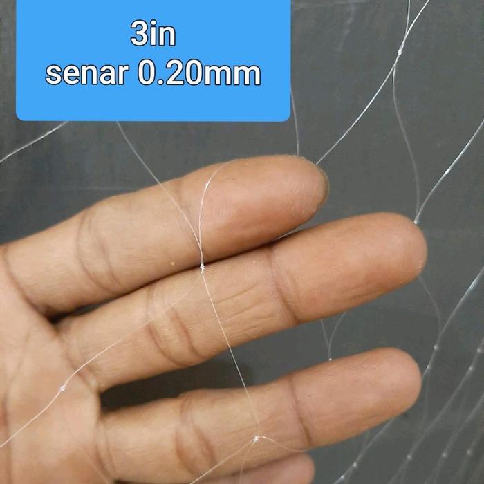 PROMO  Jaring Ikan siap pakai tinggi 3m panjang 50m Pemberat Timah Jaring Ikan Murah Jaring Pukat - 