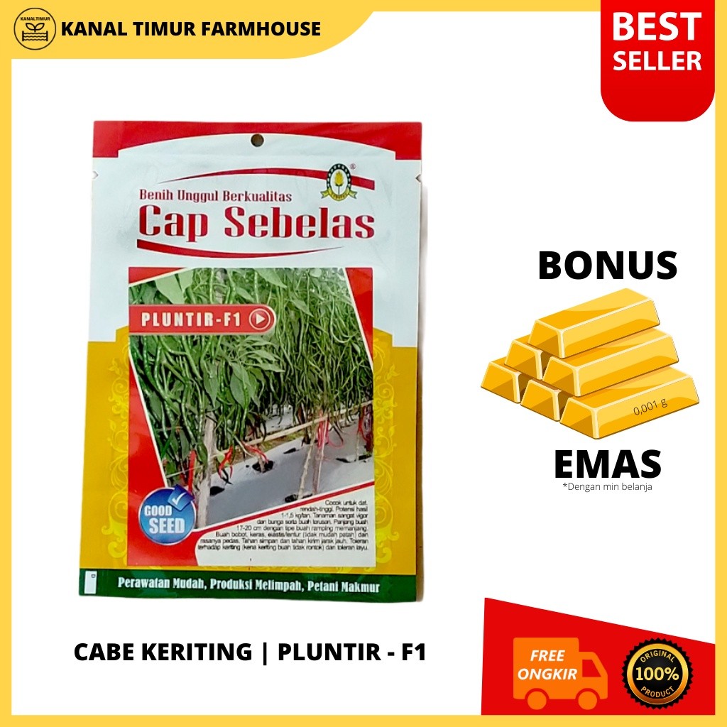 Benih Cabe Keriting Cap Sebelas PLUNTIR - F1 (Tahan Virus) - 10gram