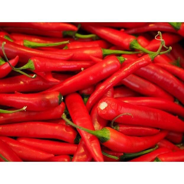 125 Biji Benih CABE/Cabai MERAH BESAR Hibrida Tanjung2 Ready Stock Exp 1-2 Tahun Cocok untuk Pemula