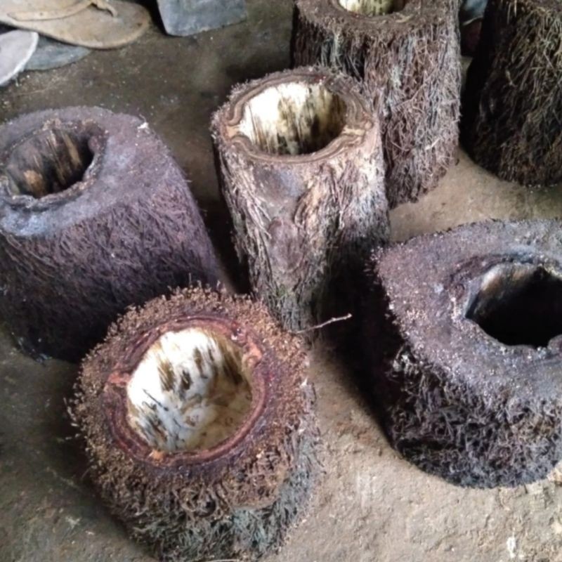 Pot batang pakis media tanam anggrek