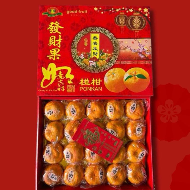Parcel Buah Imlek Jeruk Ponkam isi 20pcs