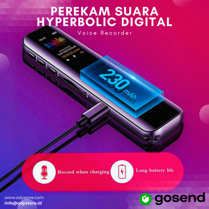 PEREKAM SUARA MINI TERSEMBUNYI DIGITAL VOICE RECORDER MINI 8GB