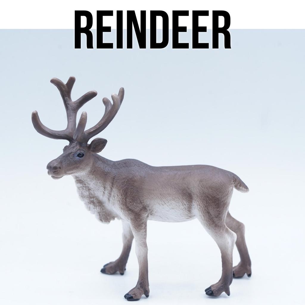 KORI Reindeer Karibu Rusa Caribou Rangifer Tarandus Mainan Figure Binatang Miniature Hewan Animal Fi
