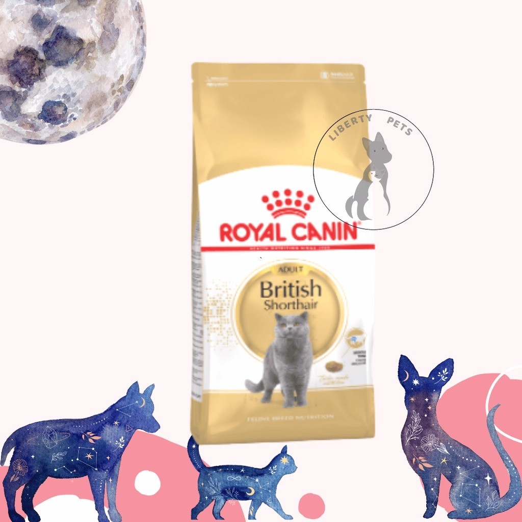 Royal Canin British Short Hair Adult (1)