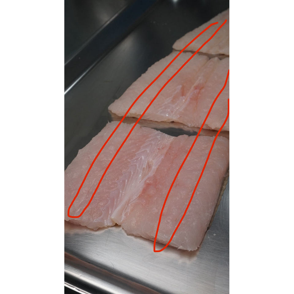 Fillet Ikan Sidat - Duri Masih ada, mohon cek di foto bagian yang ada durinya