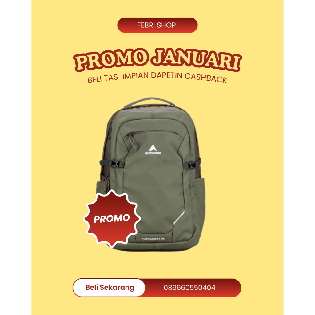 Tas EIGER FORLOUGH 20 LAPTOP