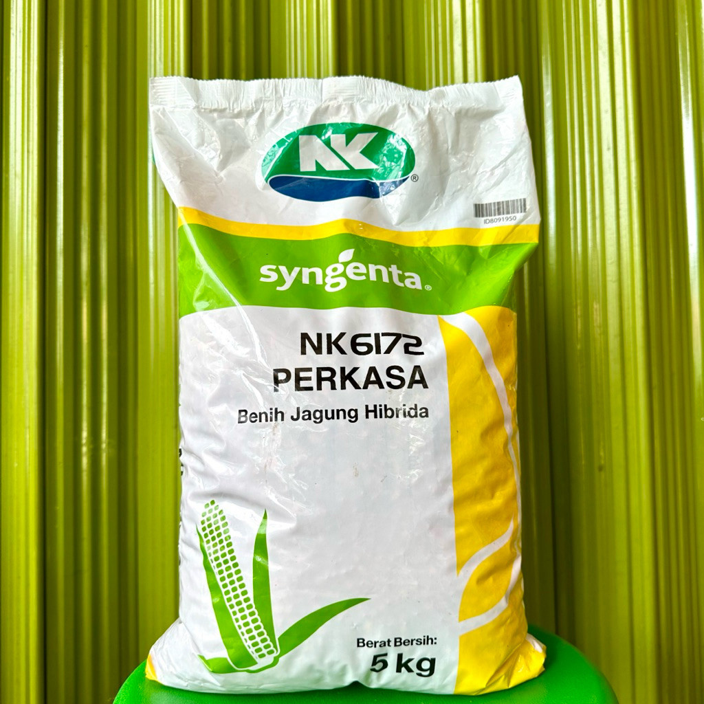 BENIH JAGUNG HIBRIDA NK PERKASA 5 KG - Benih Jagung NK 6172 Perkasa