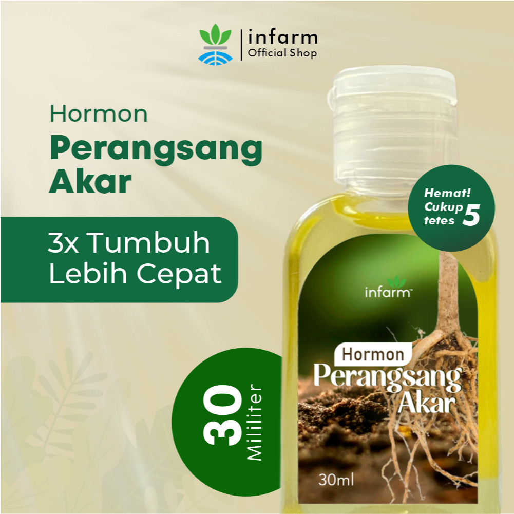 Nutrisi Tanaman Hormon Akar 30ml  Perangsang Akar Stek Hidroponik Pupuk Cair Root Booster - Agrofram