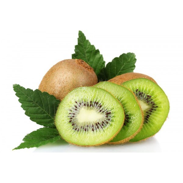 Bibit Buah Kiwi Tanaman Kiwi Unggul Berkualitas [ SIAP KIRIM ]