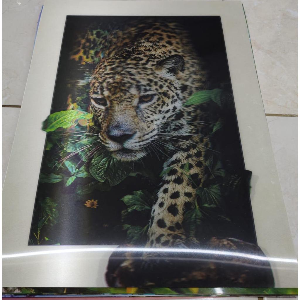 Poster 3D Hewan dan Pemandangan