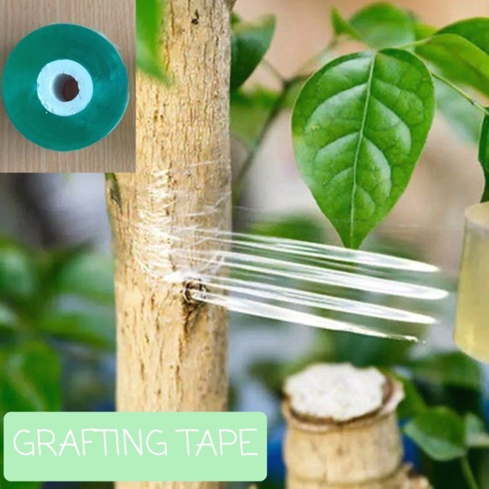 Grafting Tape Okulasi Sambung Tanaman Roll