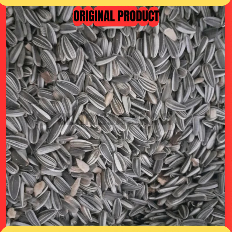 Kuaci Biji Bunga Matahari 1Kg Sunflower Seed  Kwaci Matang Kuaci Rasa Original