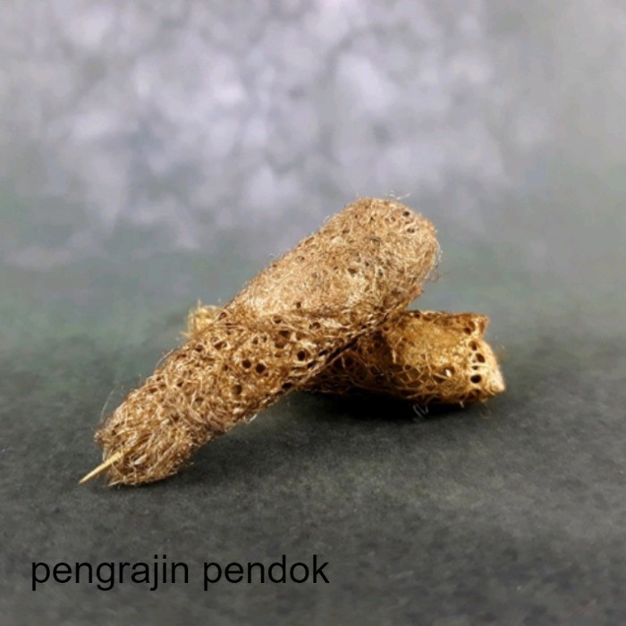 Sepasang 2 Kepompong Jala Sutra BM KT