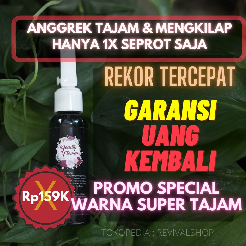 Pupuk Bunga Anggrek Agar Cepat Berbunga, Pupuk Bunga Anggrek Yang Bagus, Pupuk Bunga Anggrek Bulan,P