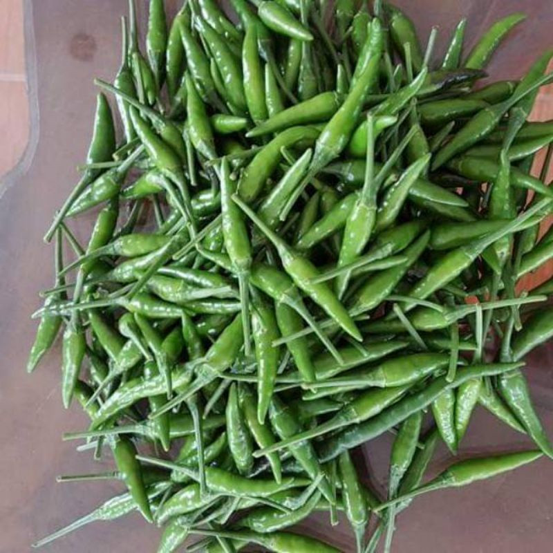 COD Benih Cabe Rawit Hijau Unggul Bibit Biji Cabe Rawit Hijau Seed Berkualitas Tinggi Mudah Tumbuh

