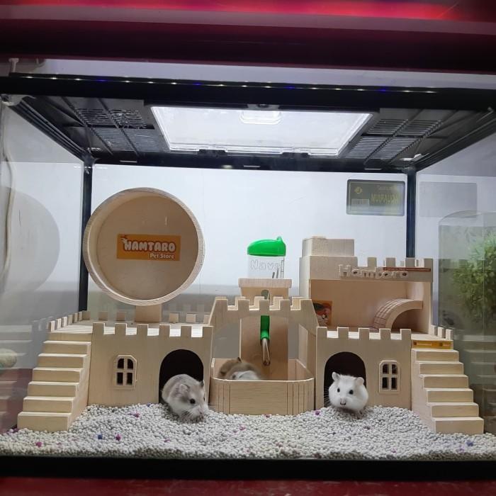 READY TERARIUM kandang hamster Besar dan Lucu mewah dan fullset Kandang Hamster Lucu - Dengan Dus