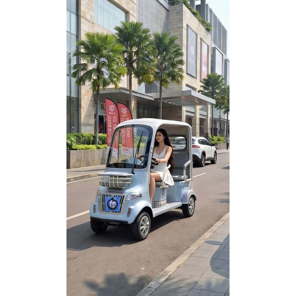 Kendaraan Listrik atau Sepeda Listrik Roda 4 Tora M3 Power Motor 1000W Battery Kering 60V 20Ah Acces