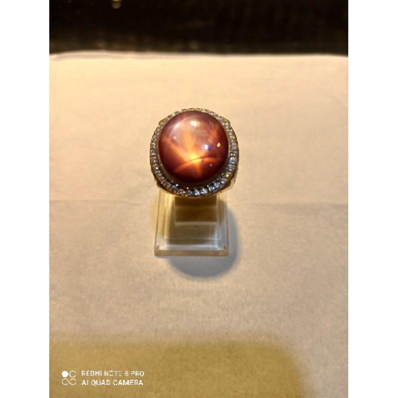 ruby star afrika (merah daging)