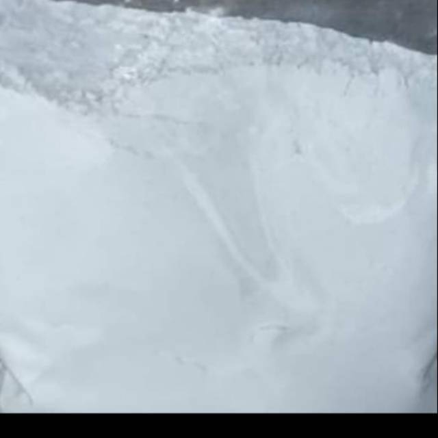 Bubuk Kerang Simping 1kg 100% murni