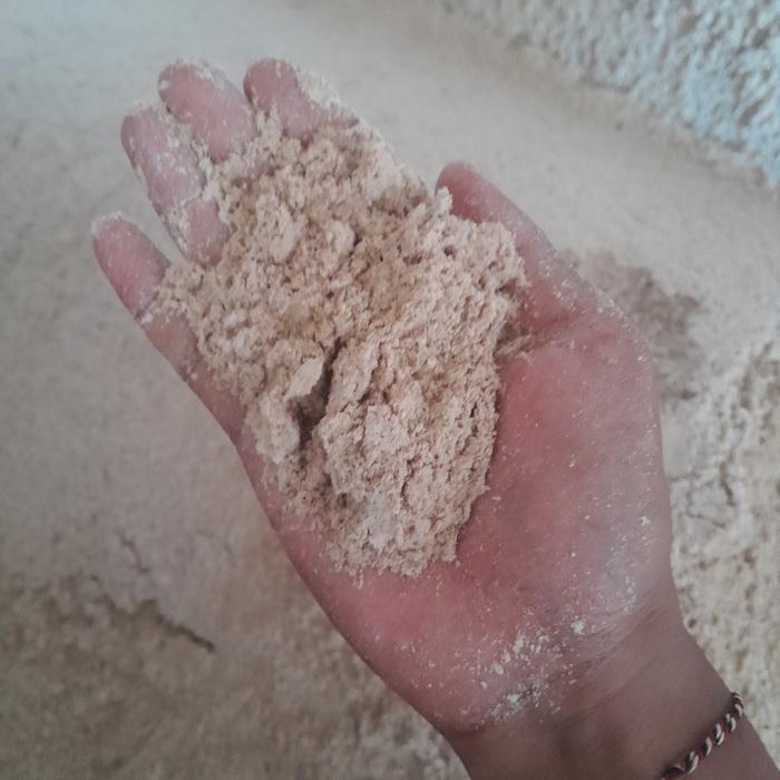 dedek bekatul murni..tidak campuran .