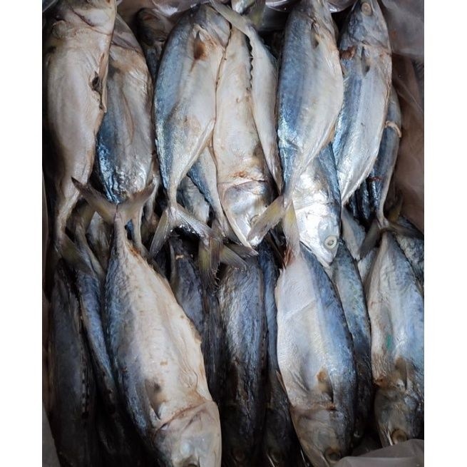 Ikan Asin Peda 250gr