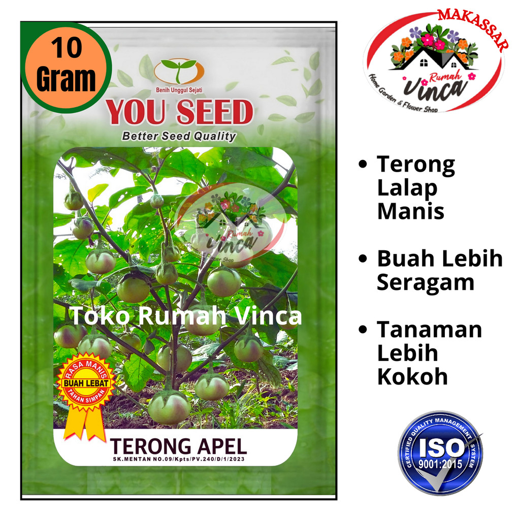 Benih Bibit Terong Lalap TERONG APEL 10g Cap You seed Bibit Terong Manggis